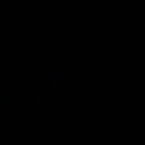 Meet your Posher, Elise